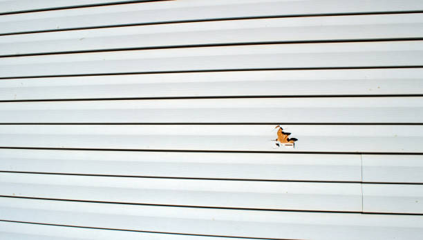 Best Shed Removal  in Rosedale, LA