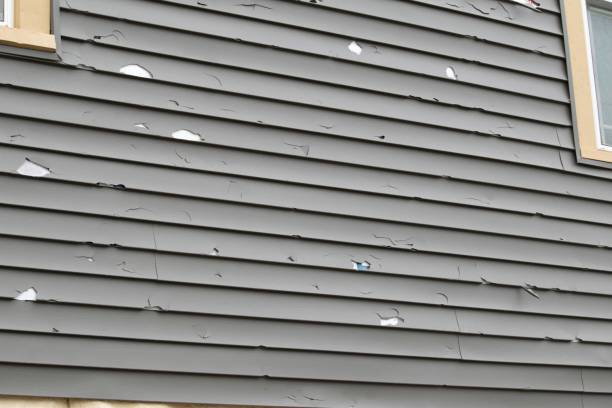 Trusted Rosedale, LA Junk Removal Experts